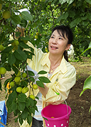 白和荘女将